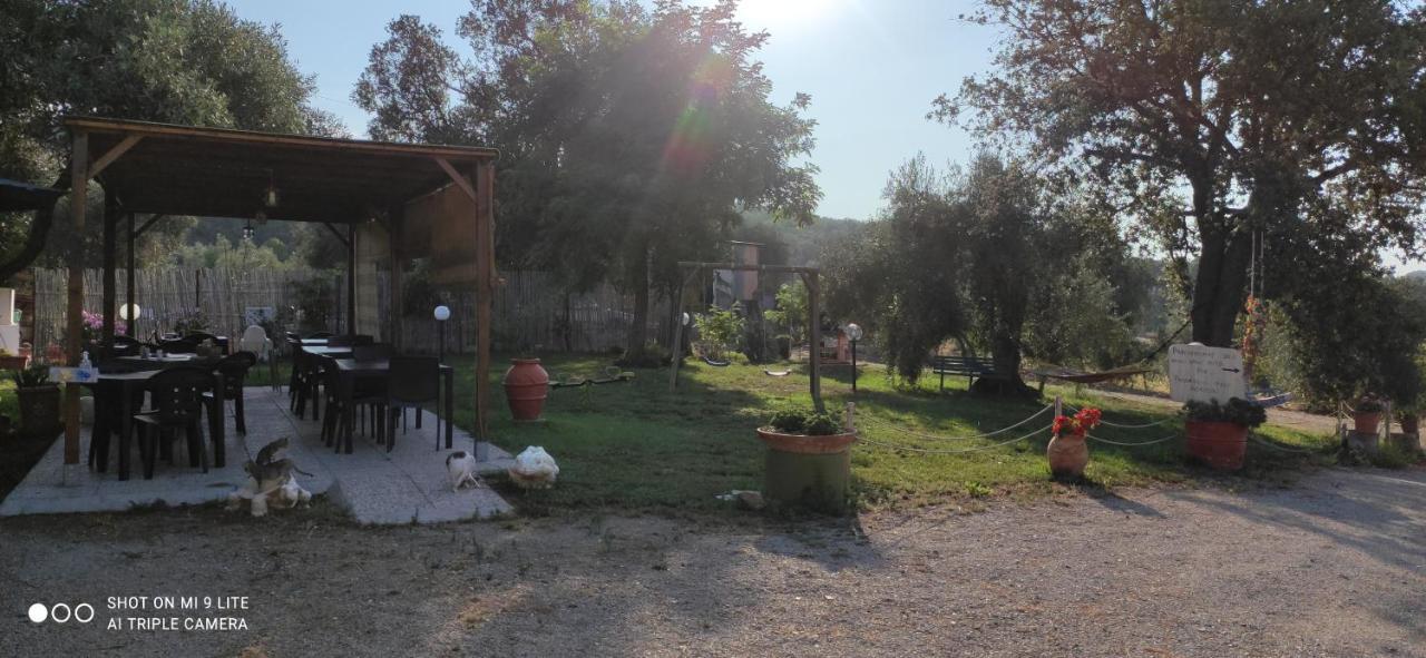 Agriturismo Poggio All'Olivo Follonica Luaran gambar