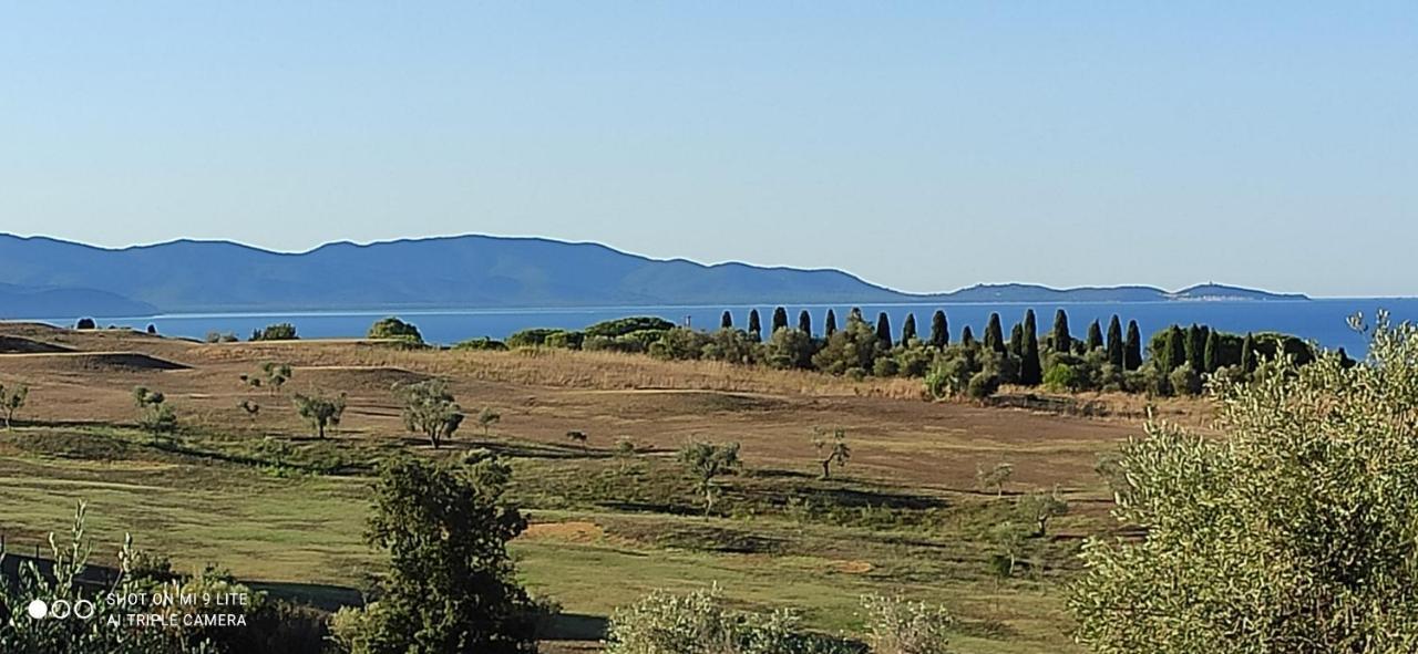 Agriturismo Poggio All'Olivo Follonica Luaran gambar