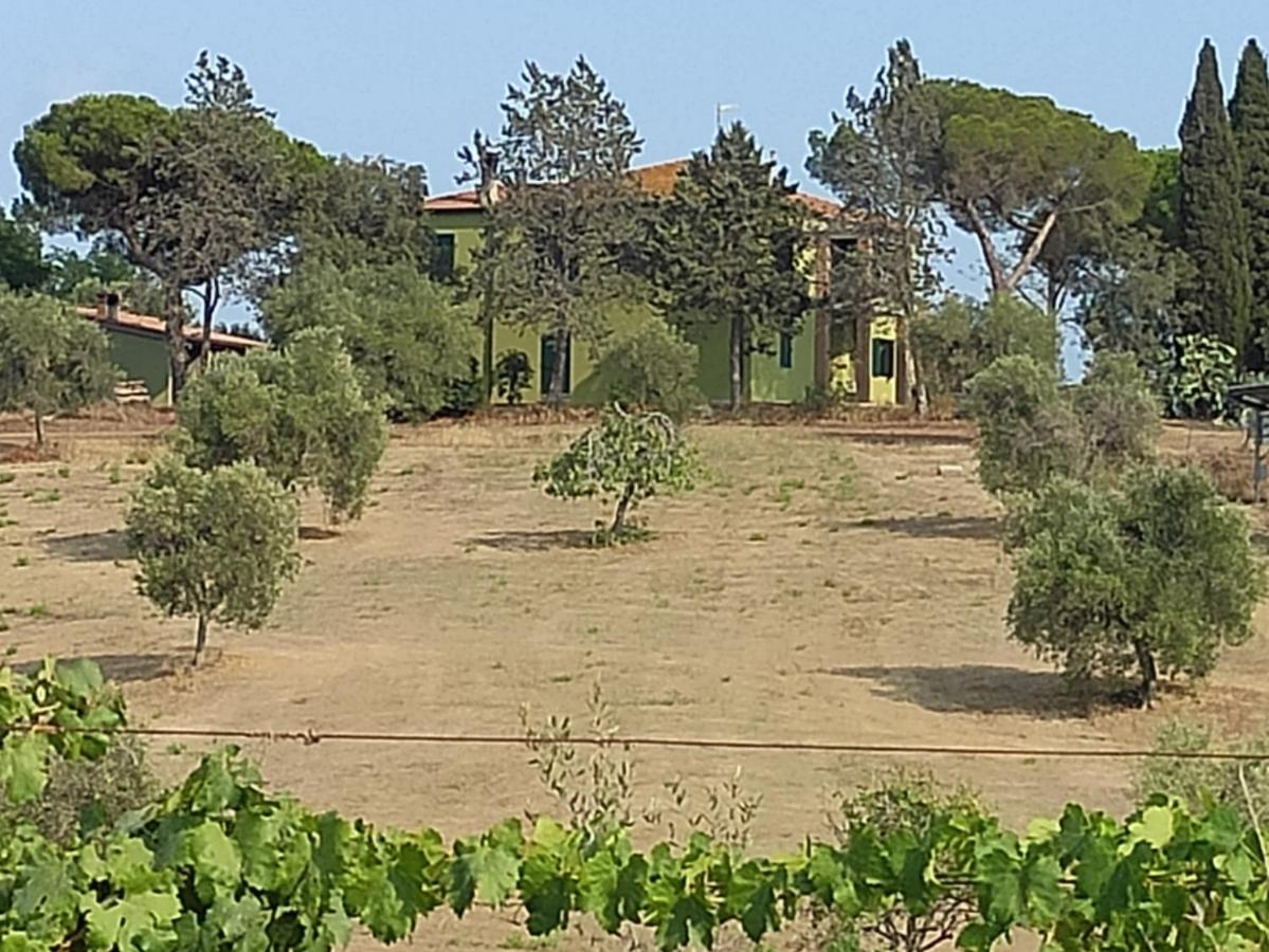 Agriturismo Poggio All'Olivo Follonica Luaran gambar