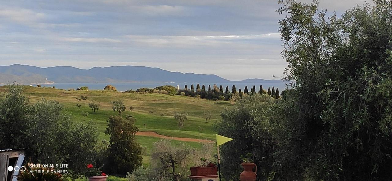 Agriturismo Poggio All'Olivo Follonica Luaran gambar