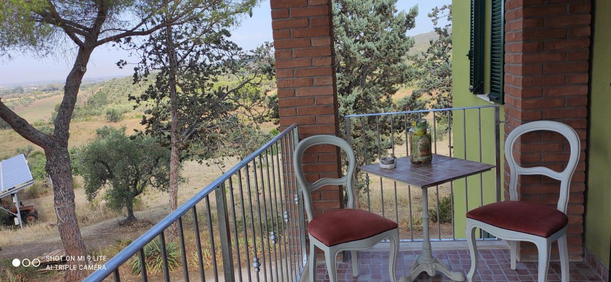 Agriturismo Poggio All'Olivo Follonica Bilik gambar