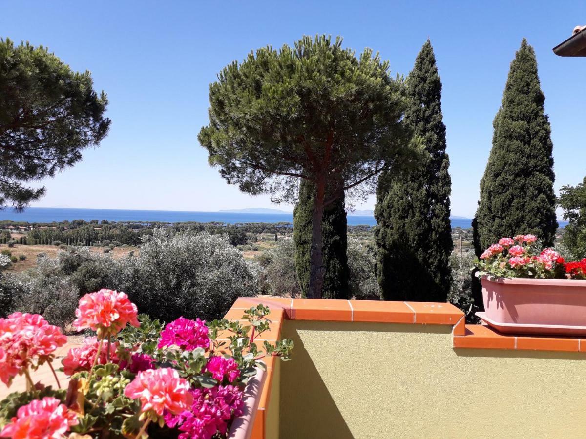Agriturismo Poggio All'Olivo Follonica Luaran gambar