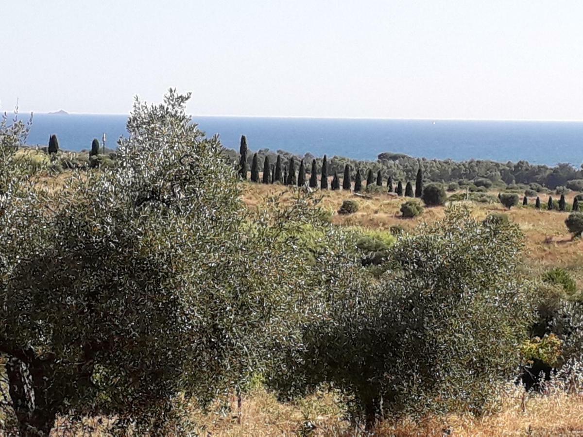 Agriturismo Poggio All'Olivo Follonica Luaran gambar