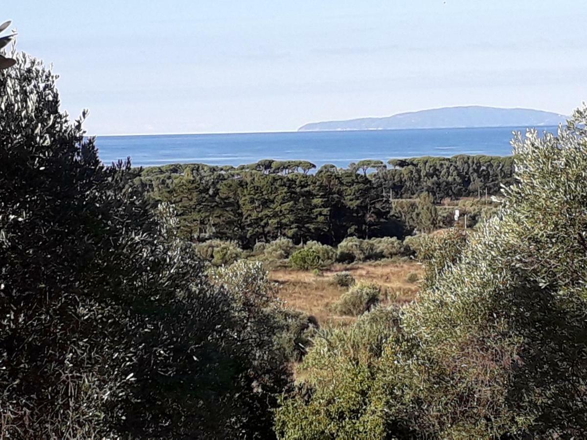 Agriturismo Poggio All'Olivo Follonica Luaran gambar